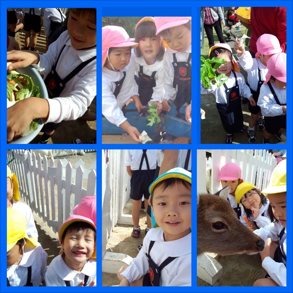 わくわく動物ランド